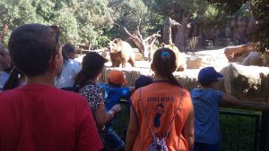 Zoo-Octubre 2016 a